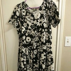 LULAROE DISNEY "CRUELLA" AMELIA - XL